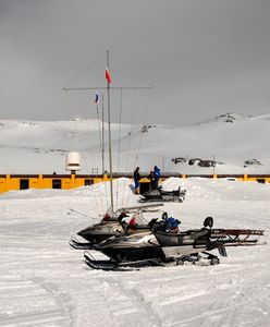 Jest praca dla Polaków na Antarktyce. Stacja szuka kilkunastu osób