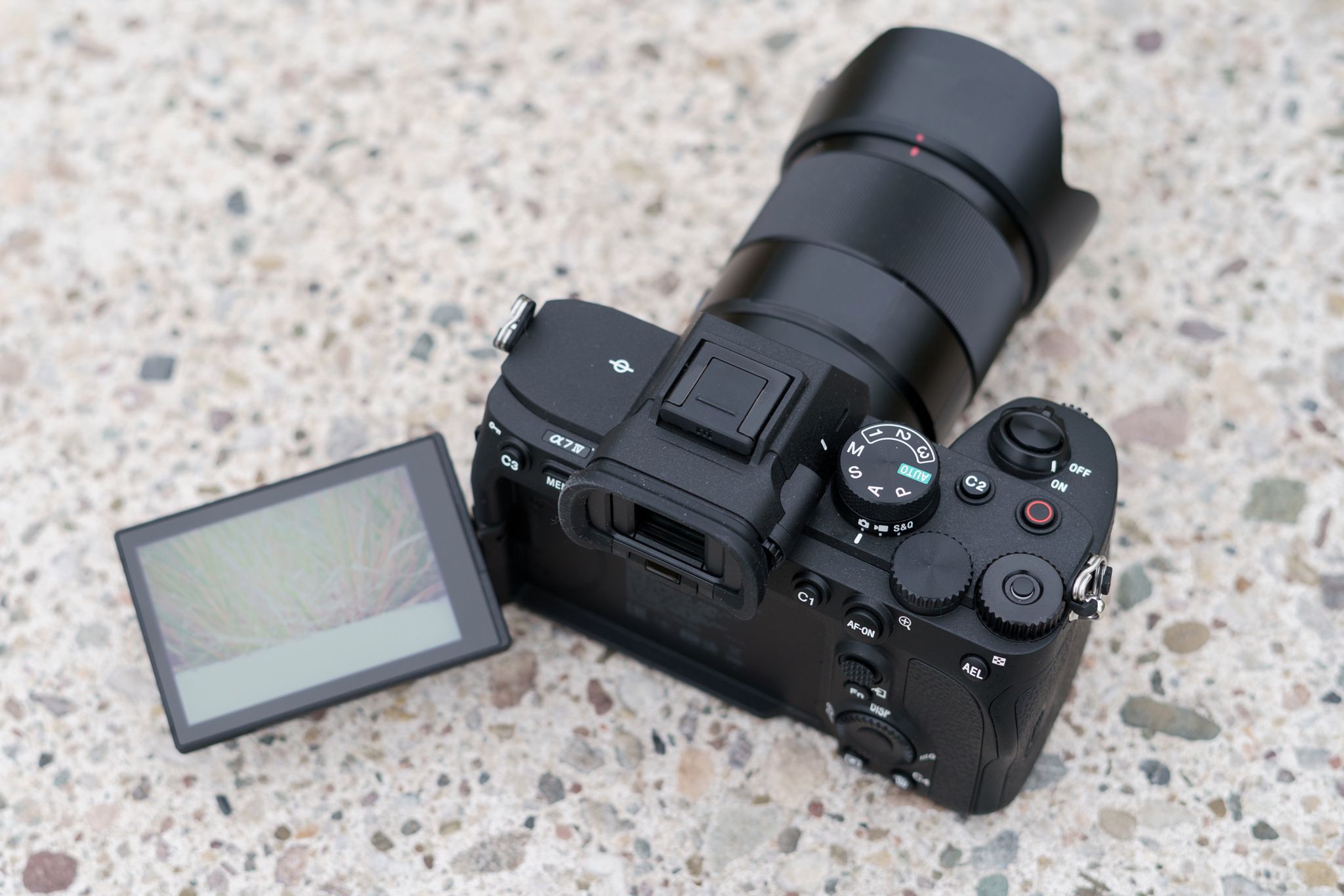 Sony A7 IV: Pierwsze wrażenia i zdjęcia przykładowe [TEST] 4