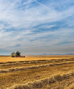 Ten podatek trzeba zapłacić jeszcze w maju. To nawet 448 zł