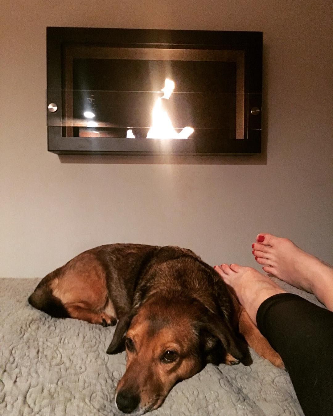 Tak mieszka Elżbieta Romanowska