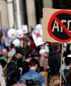 Tysiące Niemców na ulicach. Protestują przeciwko AfD