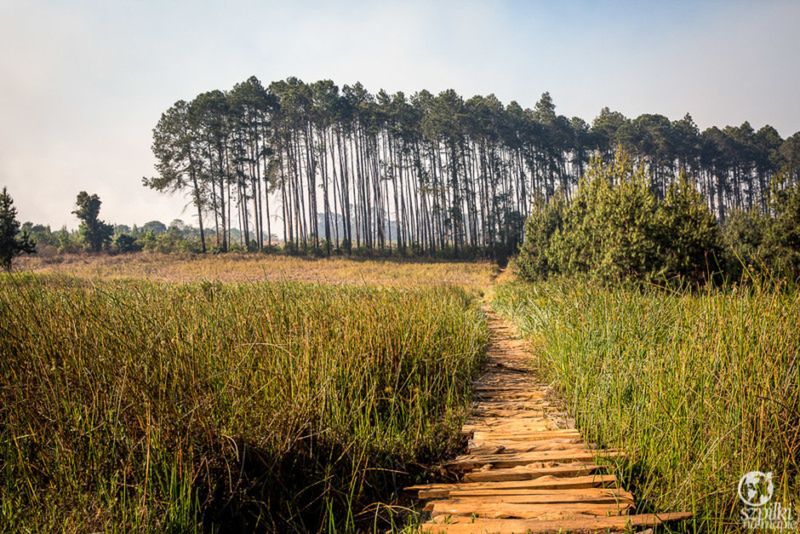 Luwawa Forest - skarb Malawi