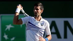 ATP Cincinnati: Novak Djoković jako pierwszy w III rundzie. Stan Wawrinka i Danił Miedwiediew rozpoczęli jak w Montrealu