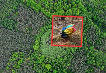 Coś kolorowego w lesie. Leśnicy się wściekli. "To nie miejsce"