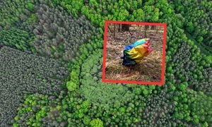 Coś kolorowego w lesie. Leśnicy się wściekli. "To nie miejsce"