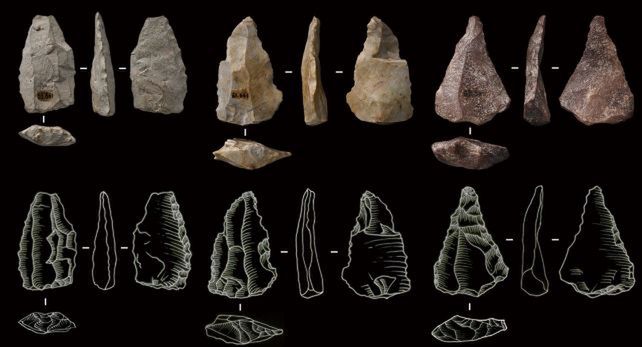 Stone pieces from Shiyu. Made using the Levallois method, Yang et al., Nat. Ecol. Evol., 2024