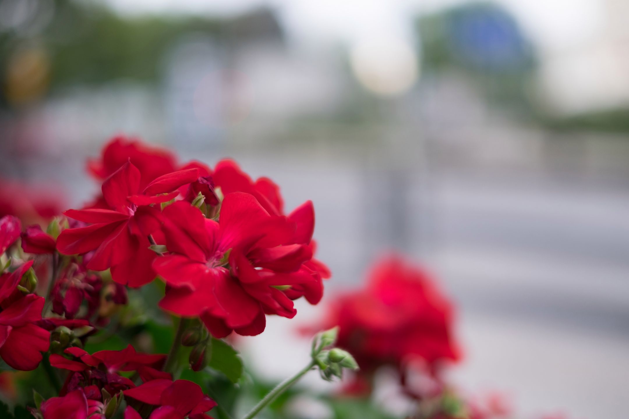 Fujifilm X-T10 – nowoczesny kompromis w dobrym stylu [test] 97