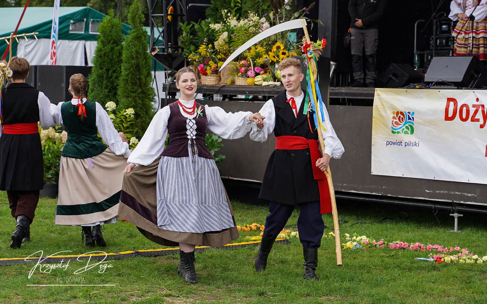 zdjęcie