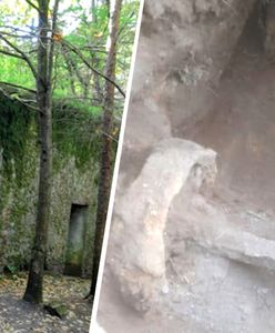 Sensacyjne odkrycie w Mamerkach. Tajemnicze torowisko przy poniemieckich bunkrach