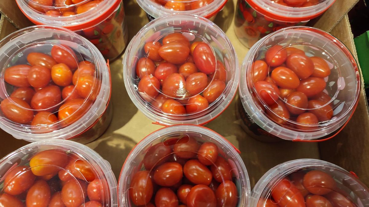 Naukowcy ostrzegają: takie pomidory mogą być źródłem zakażeń salmonellą