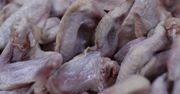 Ptasia grypa w polskim mięsie? Ministerstwo rolnictwa mówi wprost