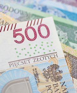 500 плюс у Польщі. Найчастіші помилки у заповненні заявки