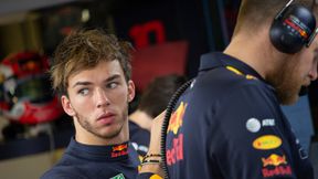 Gasly chwali Verstappena. Jest idealnym punktem odniesienia