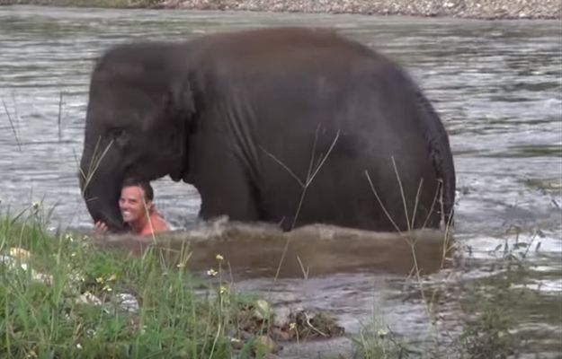 Słoń ratuje topiącego się mężczyznę