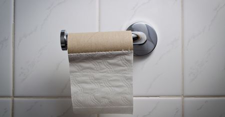 Podpal rolkę po papierze toaletowym. Zapomnisz o drogim środku