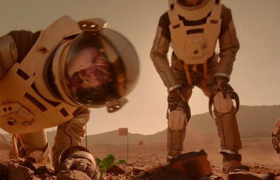 „Nie ma nic cenniejszego niż drugie Ż” w kampanii piwa Żywiec