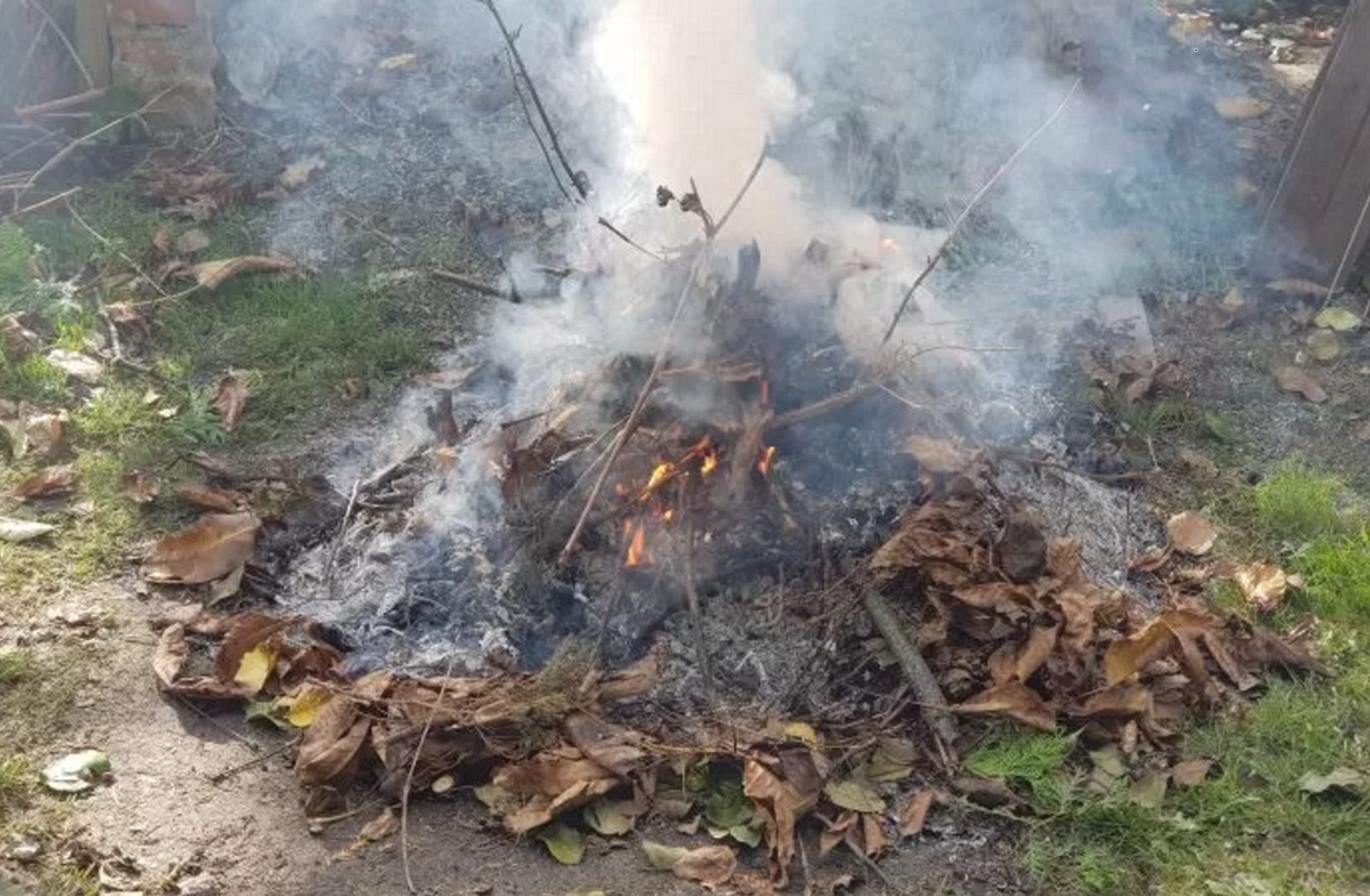 Czy można spalać suche liście i gałęzie na działce? Lepiej uważaj