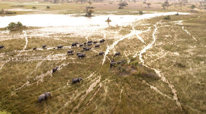 Nadciąga wielka woda