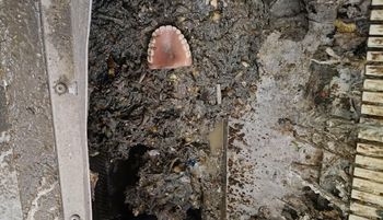 Był poranek. Zajrzeli do oczyszczalni. "Potrafi powalić"