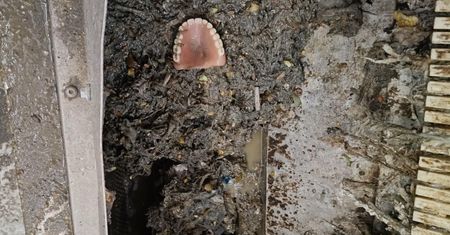 Był poranek. Zajrzeli do oczyszczalni. "Potrafi powalić"