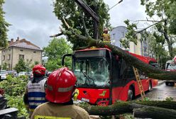 Akcja służb w Żywcu. Drzewo runęło na autobus