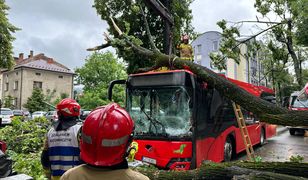 Akcja służb w Żywcu. Drzewo runęło na autobus