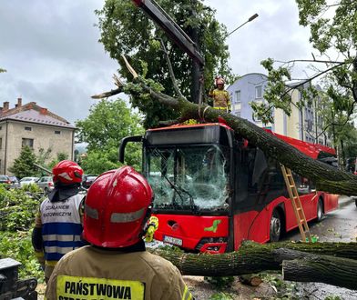 Akcja służb w Żywcu. Drzewo runęło na autobus
