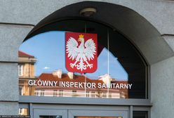 Ołów i kadm na kubkach. Firma reaguje po ostrzeżeniach GIS