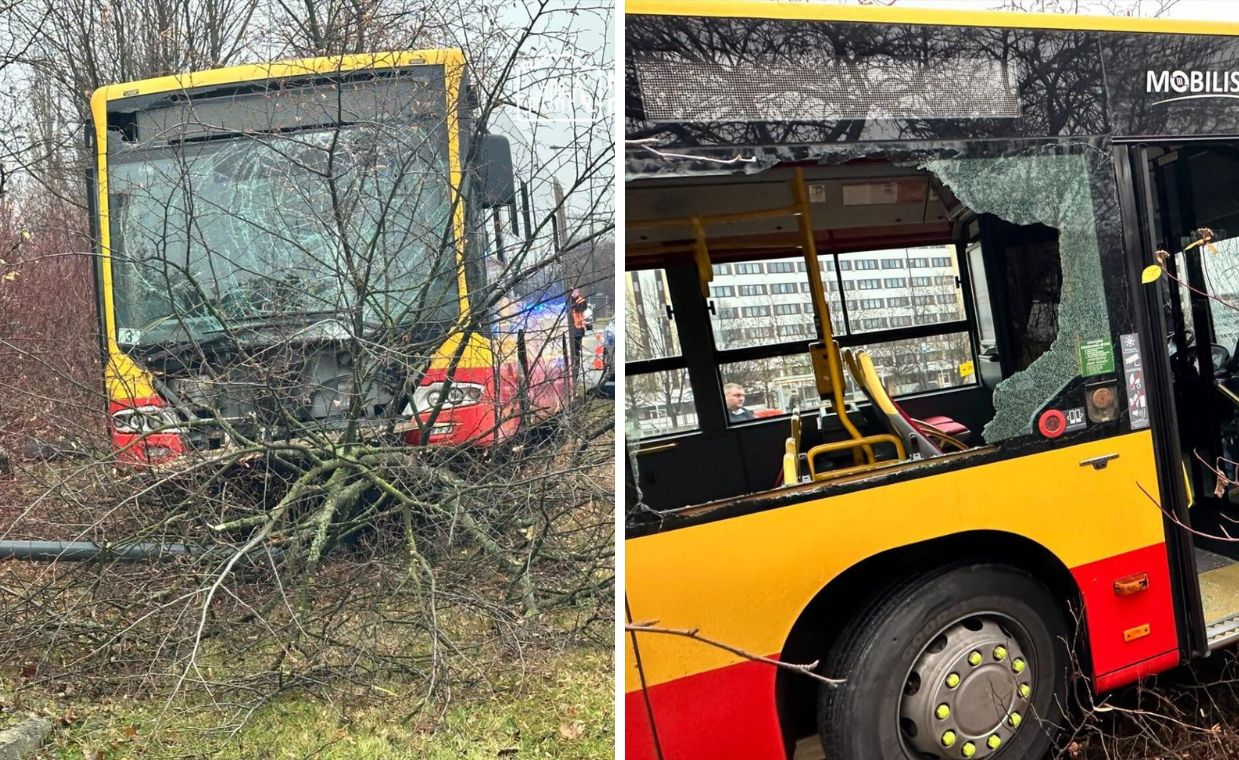 Kierowca autobusu wjechał w drzewa. Pojazd zawisł na betonowym bloku