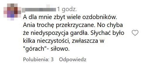 Anna Karwan w ogniu krytyki po koncercie na cześć Wodeckiego
