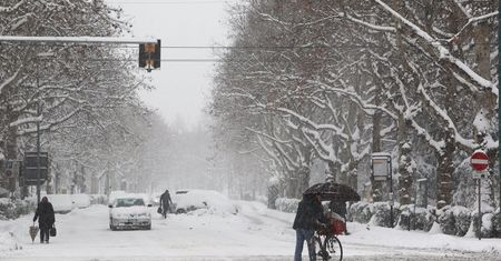Francja: Śnieżyce, 40 tys. domów bez prądu