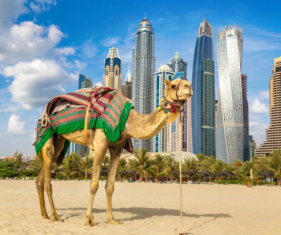 gdzie na urlop w listopadzie, Dubaj