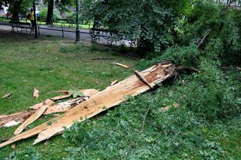 Ponad 30 interwencji straży pożarnej po nawałnicach w Łodzi. Trwa usuwanie konarów i gałęzi