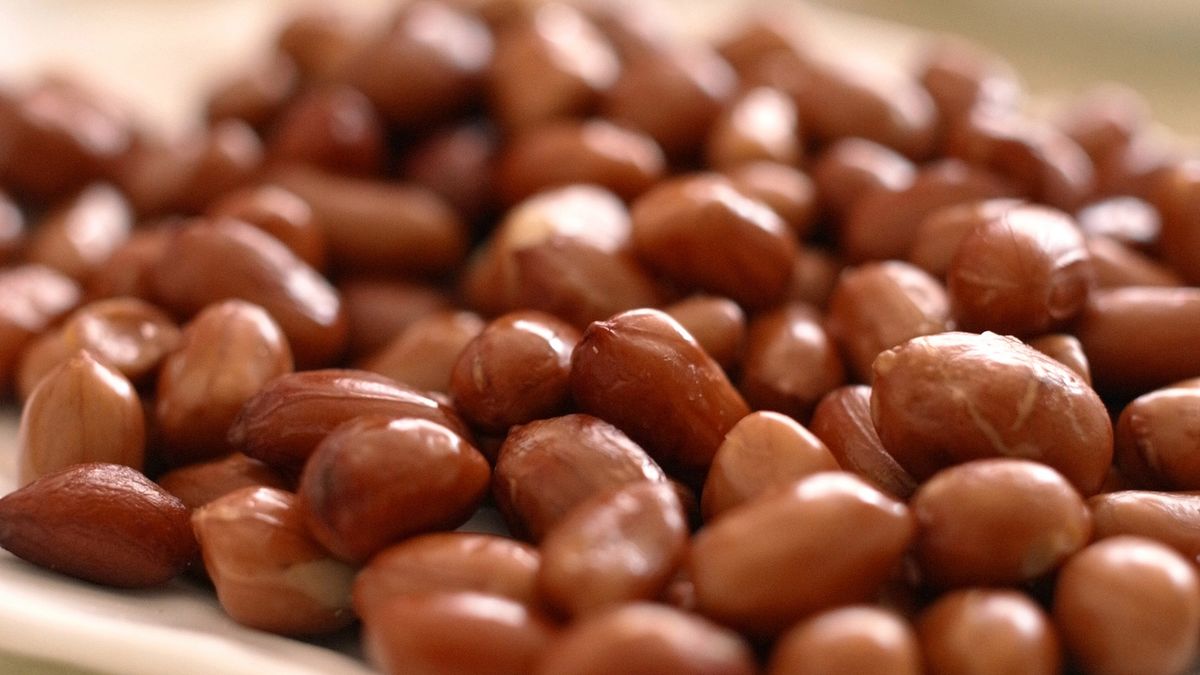 Orzeszki ciemne w mlecznej czekoladzie