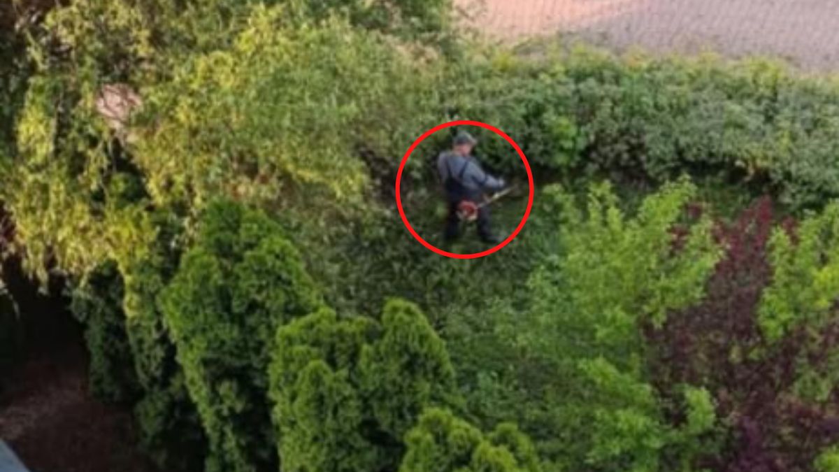 Kosił trawę o poranku. Chwyciła za telefon i opublikowała wpis.