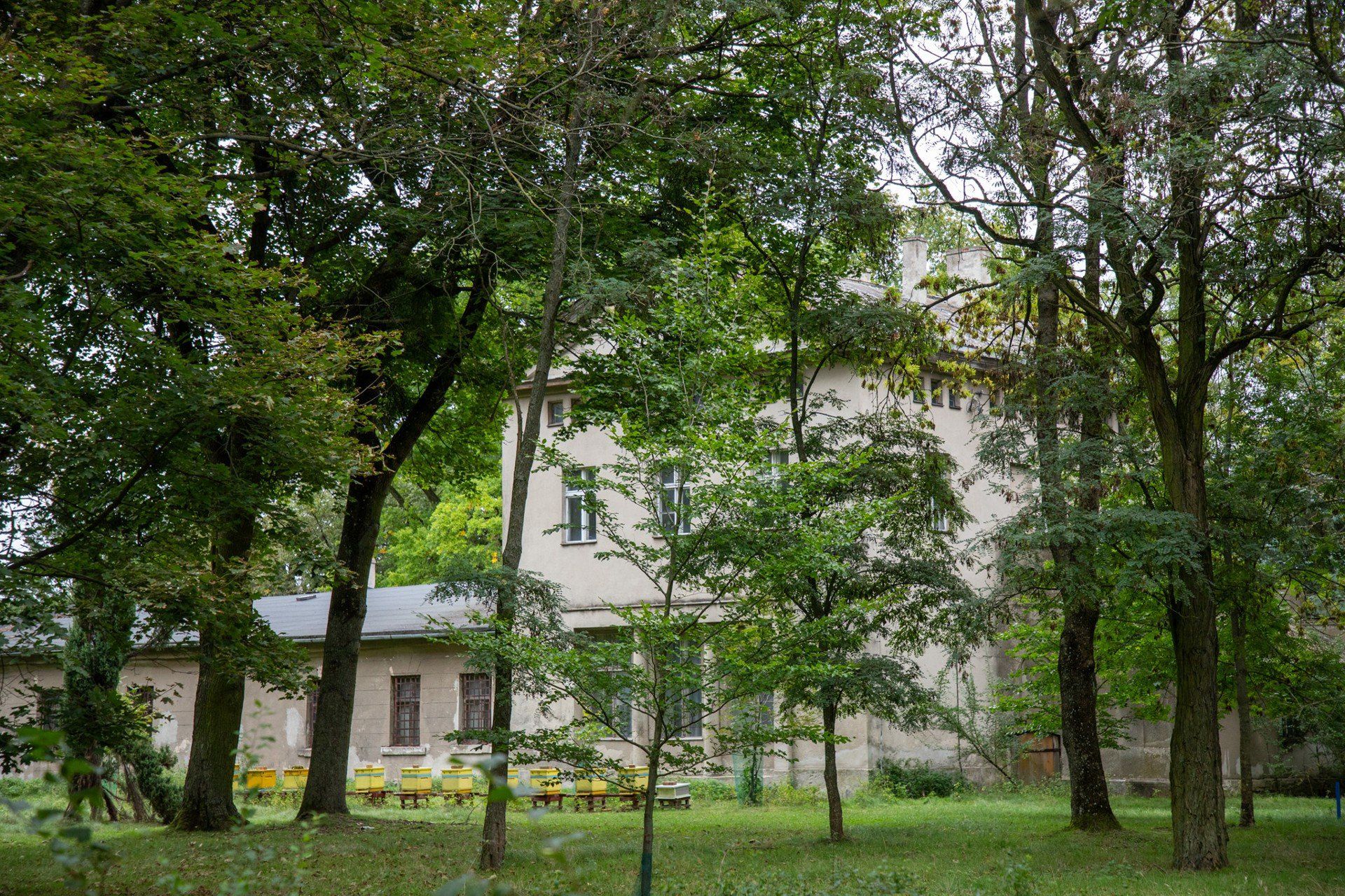 Dawny folwark w Piwnicach koło Torunia