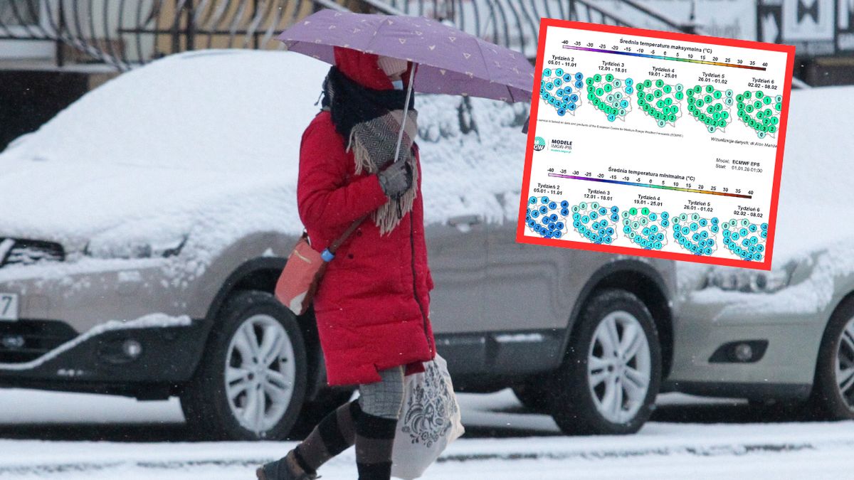 Tak wyglądają prognozy na następne tygodnie