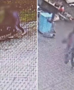 Złodzieje ukradli łup innych złodziei. Wszystko się nagrało