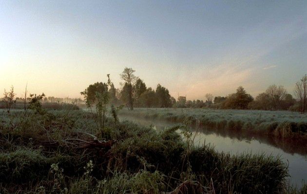 Białowieża tylko dla Warszawki?