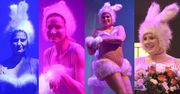 Moro, Romanowska i Zborowska tańczą przebrane za różowe króliki (FOTO)