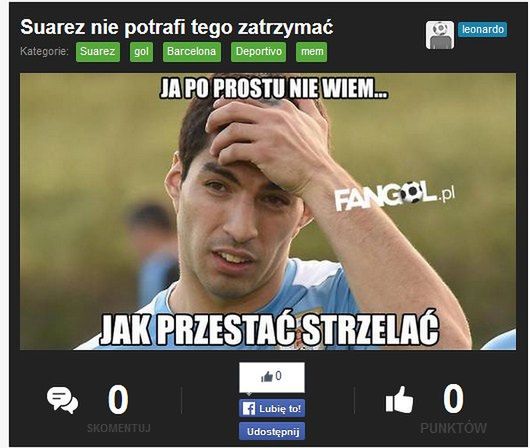 Fot. fangol.pl