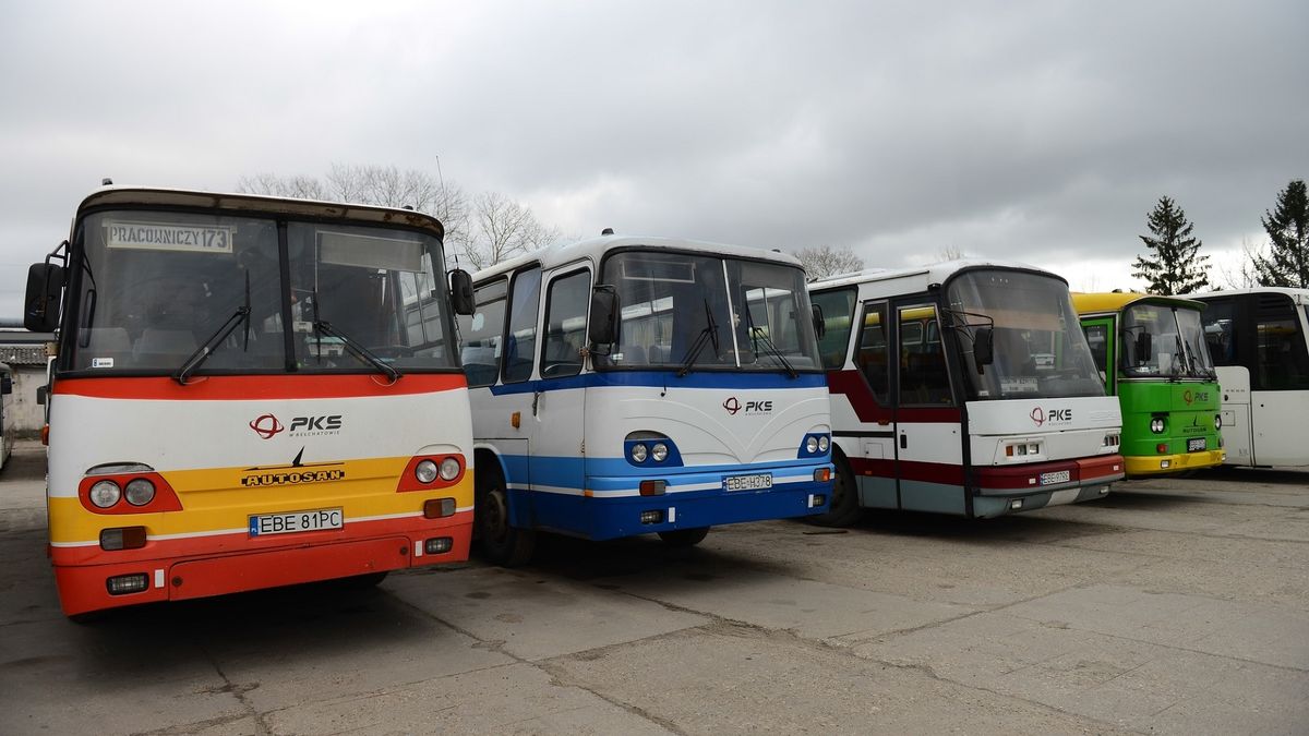 (fot. Adam Staskiewicz/East News)