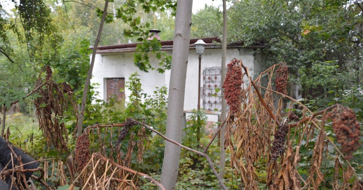 Stalowa Wola: Zdewastowany budynek na działce w centrum wystawiony przez miasto na sprzedaż