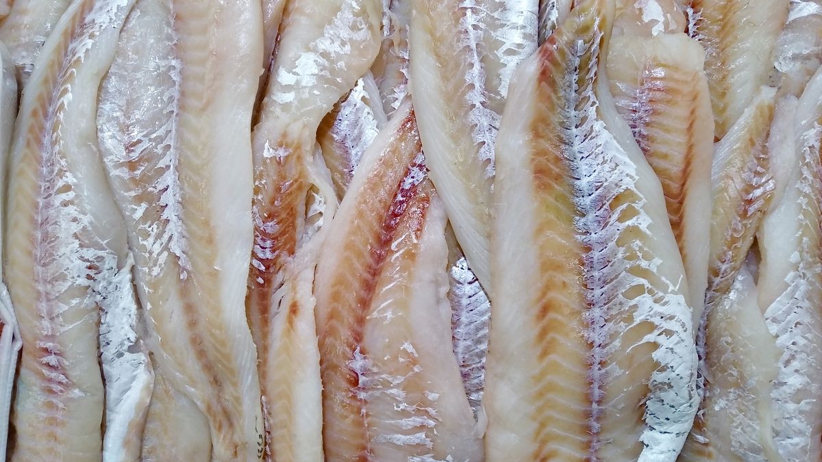 chilled fresh pollock fish, skinless fillet
chilled fresh pollock fish, skinless fillet
alex55
chilled, healthy, market, theragra chalcogramma, chalcogramma