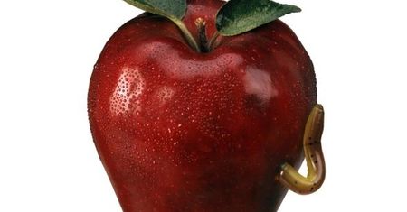 Google Phone to fake. Apple sieje plotki?
