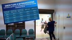 Zamiast szaleństw zaciskanie pasa. ZUS udostępnił najnowsze prognozy emerytalne