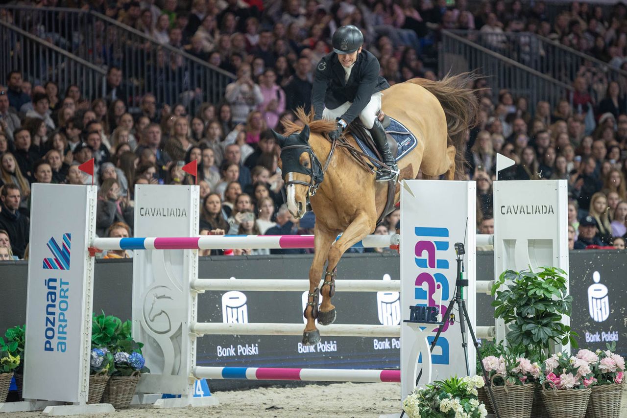 Warszawski lider i sukces Polaków na CAVALIADZIE w Poznaniu