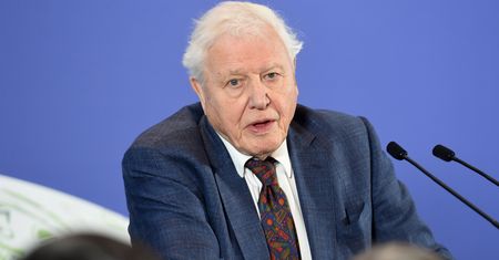 David Attenborough założył konto na Instagramie. Pobił rekord Jennifer Aniston