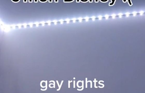 Disney na TikToku ocenzurował słowa "gay", "lesbian" i "queer"