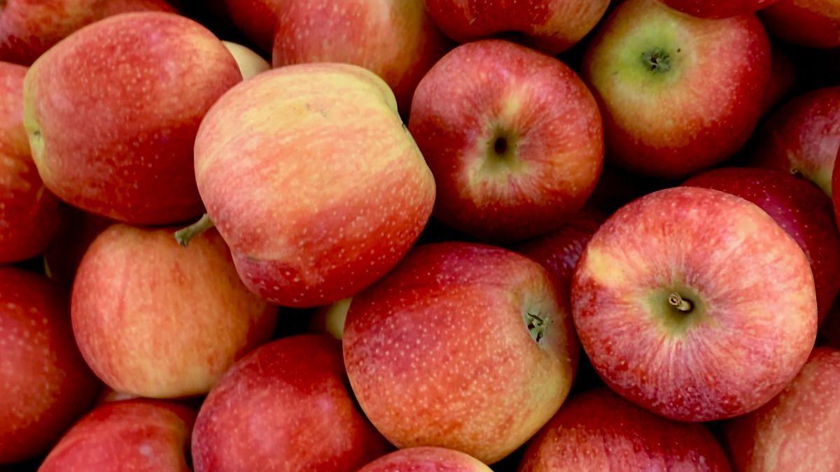 Apple w formie. Chce zablokować premierę filmu, bo ma w nazwie "jabłko" 1